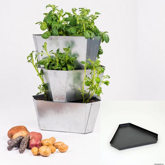 【クラウドファンディング限定セット】ポールポテト スチール3段+トレイ 限定5セット