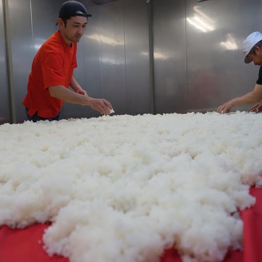 山田錦の未来を支援（１０,０００円）　限定２０