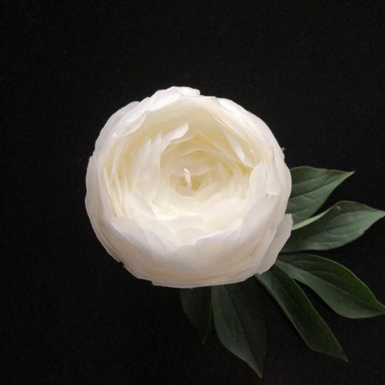 シャクヤクキャンドル　ホワイト