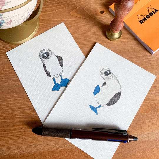 【応援コース】オリジナルポストカード