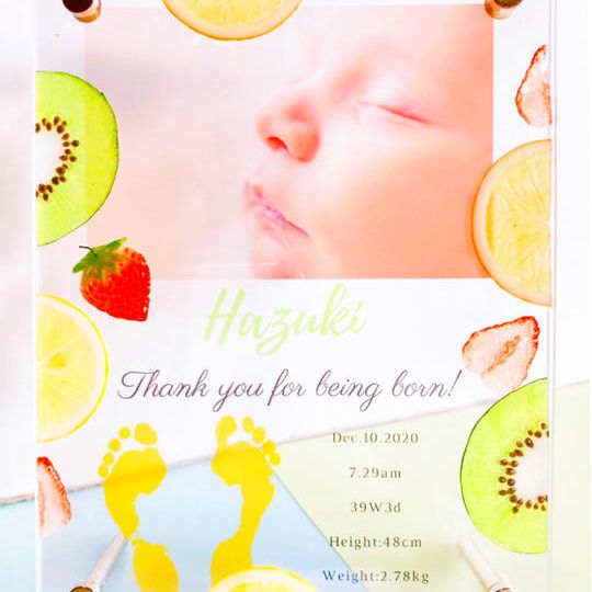 【手作りキット】フォトフレーム製作用 押しフルーツ詰め合わせ（ハガキサイズ）