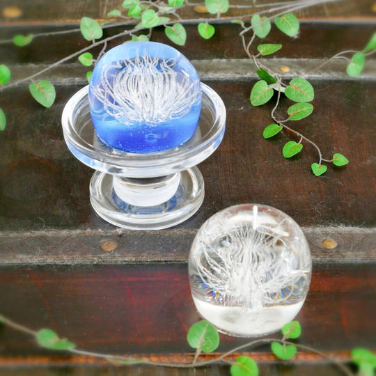 キャンドル定期便（半年コース）