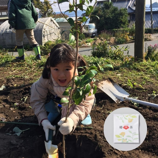 レッドカーペットプロジェクトへの支援