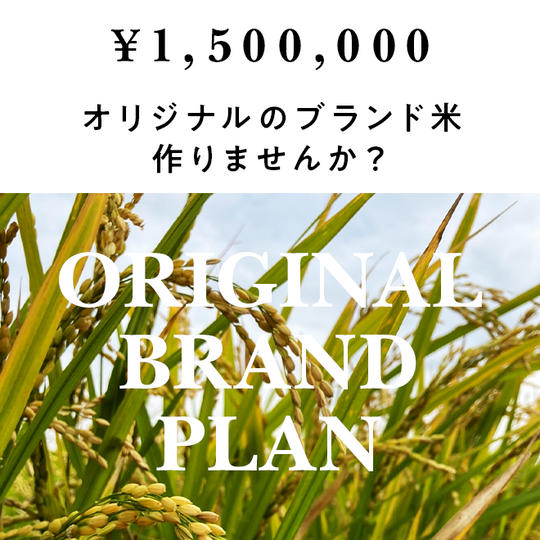 【法人3組限定】オリジナルブランド米プラン