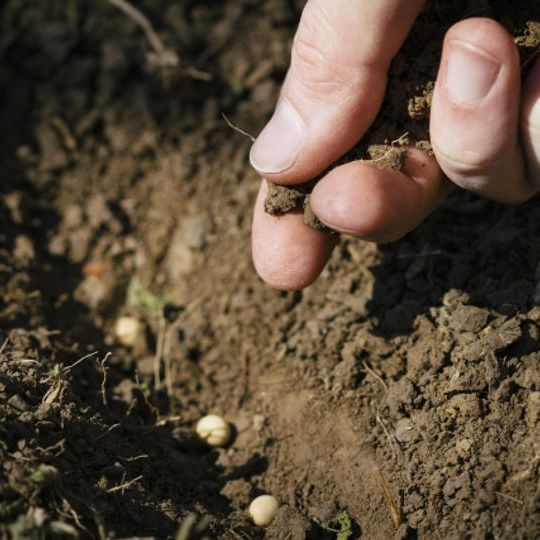 “希望の種”をまこう！
