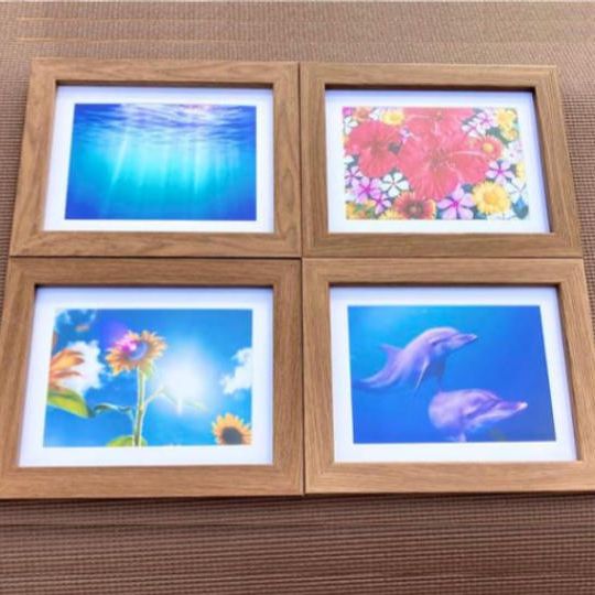 地球へのたからもの（アートギャラリー ）