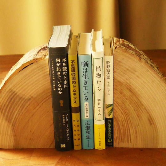 【再々販売！ご好評につき追加しました】ロス部分の木で作ったブックエンド大