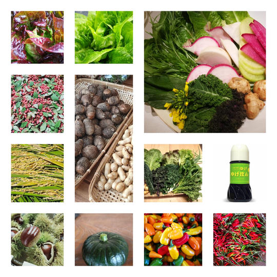 食べて楽しむ京都のお台所食材セット 4,000円コース