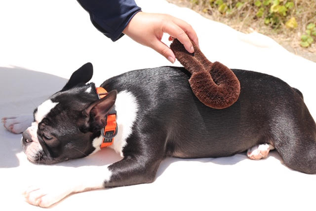 目標金額を達成することができました！