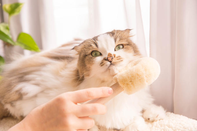 販売商品を追加いたしました！！