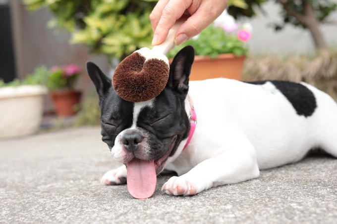 ありがとうございます！