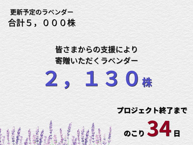 【第一目標達成まであと一歩！！】支援件数100件達成とラベンダー寄贈数2,000株達成のお知らせ