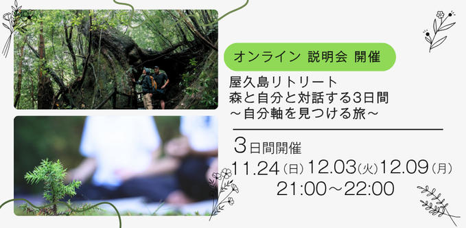 【ご支援者様へ感謝とご報告】あの時の夢が形になりました｜2月屋久島リトリートのご案内