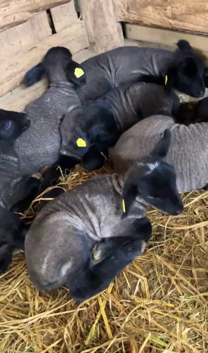 ホームページが完成いたしました！