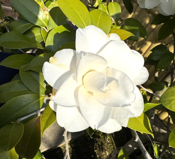 お心を寄せてくださった方々、ありがとうございます