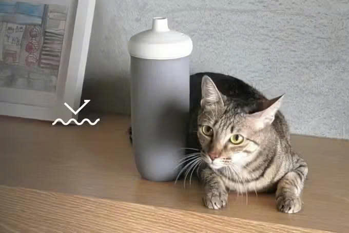 現代のライフスタイルに最適な便利で安全な飲み物用ボトル！