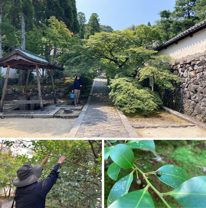 【 活動記録 1 】 一休寺の「いきもの」づくり、はじまりました