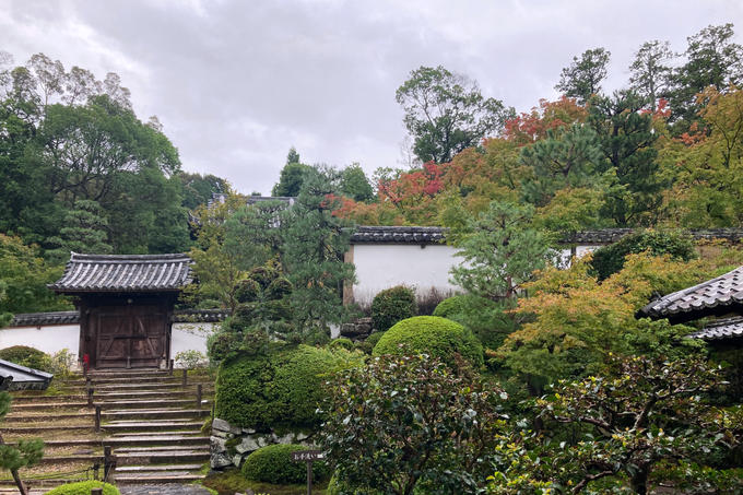 【 活動記録 27 】 境内の植物