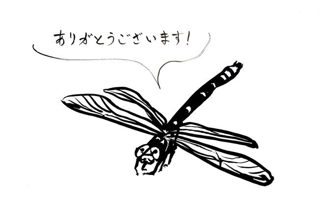 【 目標達成のご報告 】温かいご支援・応援をありがとうございます