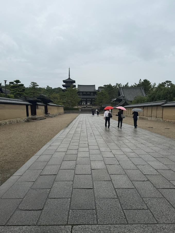 限定公開が始まりました
